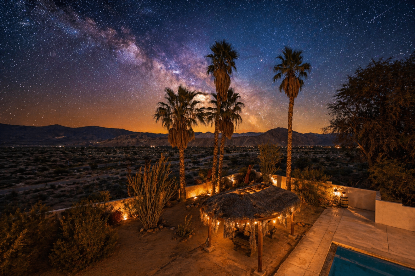 Palm trees silhouetted against the Milky Way