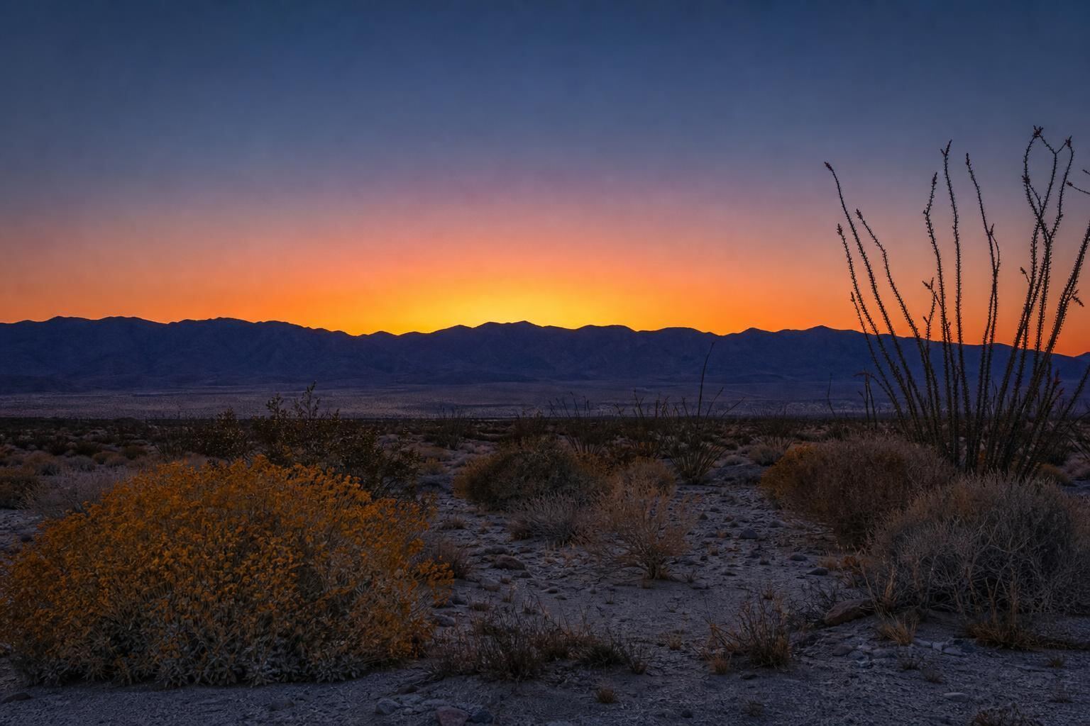 Santa Rosa mountains at sunset over the Borrego Springs desert valley with ocotillo in bloom